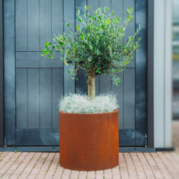 GrillSymbol Corten Steel Planter Myy