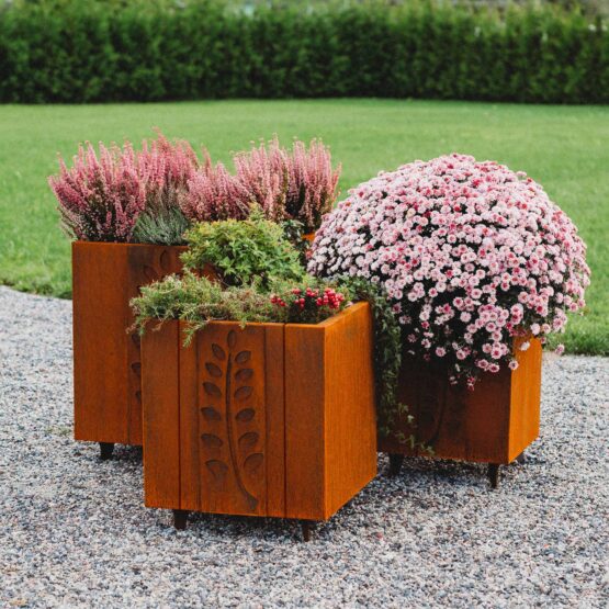 Petteri Wiimaa Jardinières en acier Corten Fat Ballerina set