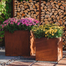 GrillSymbol Corten Steel Planters Set of 2 Fiora