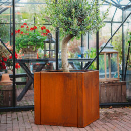 Petteri Wiimaa Macetero acero Corten Clara 3XL
