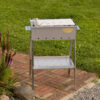 GrillSymbol Charcoal Grill Naked Chef XS Silver